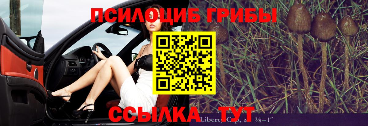 где найти   Вход с VPN  Донской  Галлюциногенные грибы мухоморы 