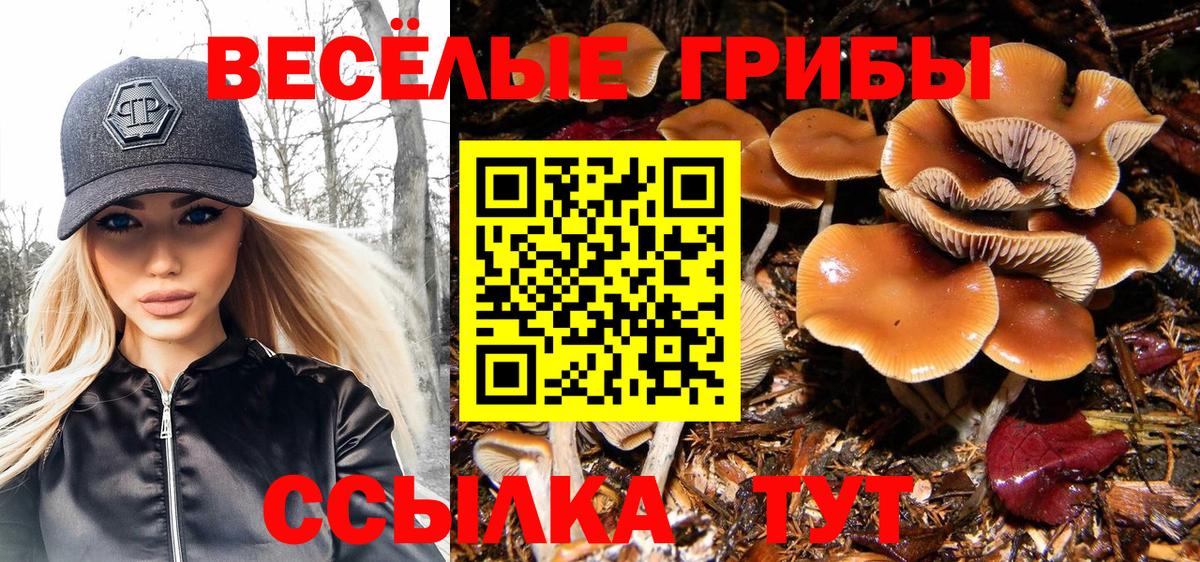 Галлюциногенные грибы GOLDEN TEACHER Донской